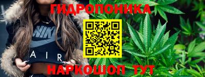 мяу мяу кристалл Гусь-Хрустальный